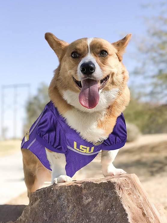 lsu pet jersey