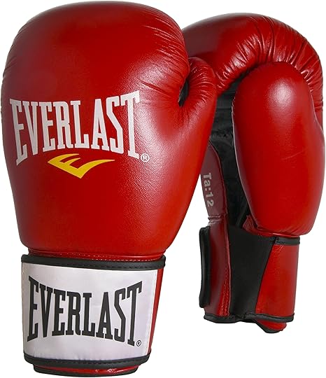 everlast 14oz leather boxing gloves