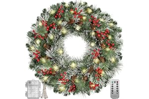 DIOTY 22 Inch Pre-Lit Artificial Christmas Wreath，Christmas Wreaths for Front Door with Pine Cones, Red Berries, Frosted Branches, for fireplaces Wall Windows Xmas Decoration