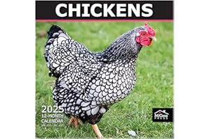 MICASA PRESS MICASA Chickens 2025 Wall Calendar 12 Month | 12" x 24" Open | Thick & Sturdy Paper | Giftable | Calendar 2025