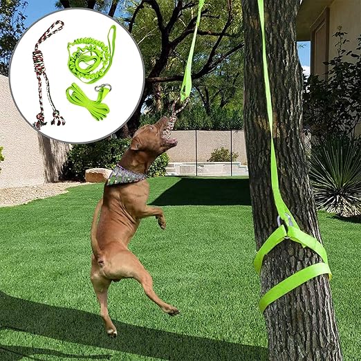 tether toy for dogs