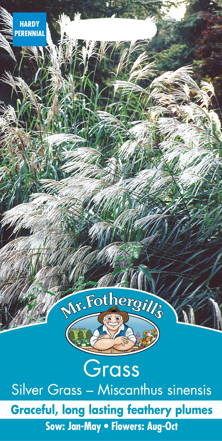 Mr Fothergill?s Seeds Ltd 24223 Flower Seeds, Silver Grass-Miscanthus sinensis Early Hybrids