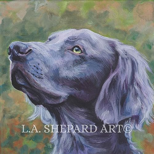 Amazon Com A Long Haired Weimaraner Dog Art Portrait Print Of An
