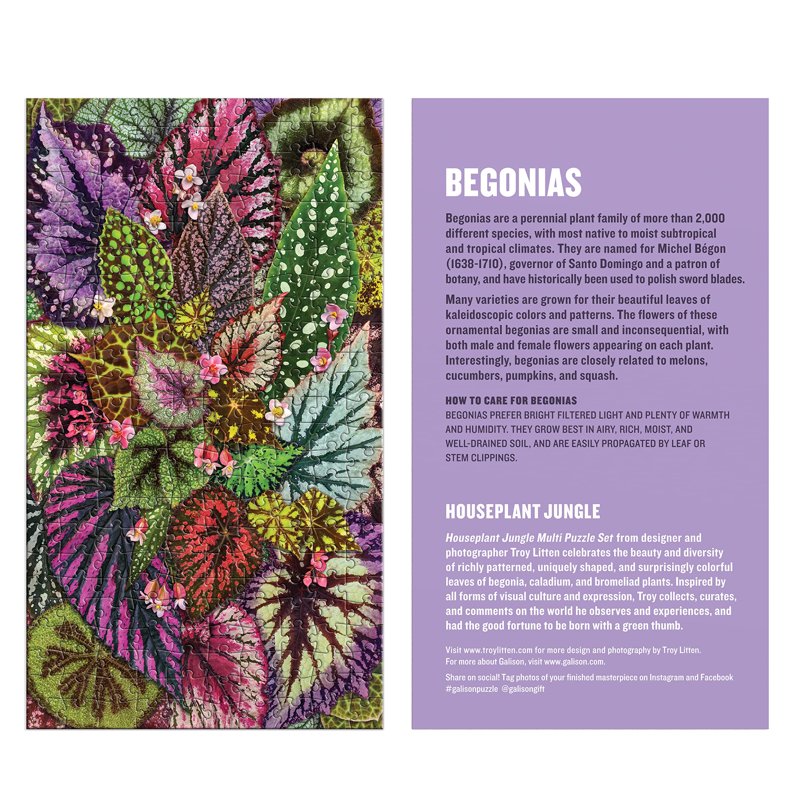 Galison Houseplant Jungle Multi Puzzle Set from Galison - Includes Three 250 Piece Puzzles Featuring Botanical Photographs from Troy Litten, Thick and Sturdy Pieces, Fun and Challenging Activity