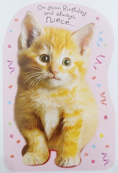 Amazon Com On Your Birthday And Always Niece Greeting Card You