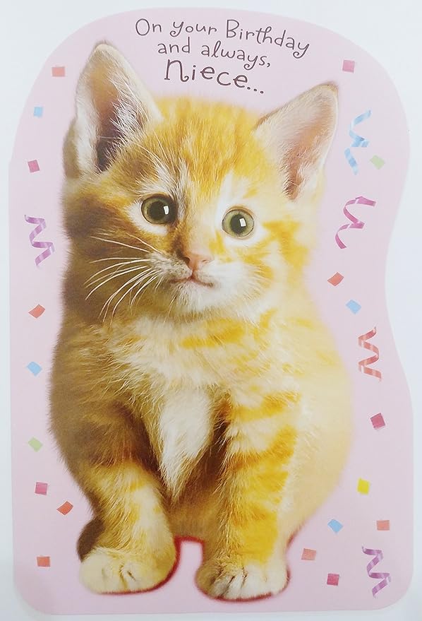 Amazon.com : On your Birthday and always NIECE Greeting Card - You're