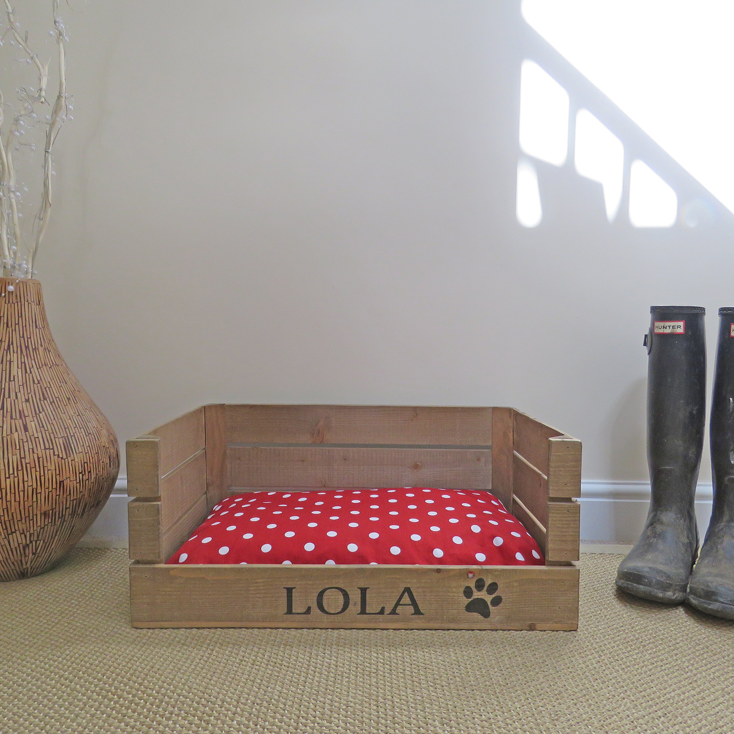 accessories for labrador puppies