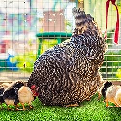 Rural365 Nesting Box Pads Artificial Turf Square