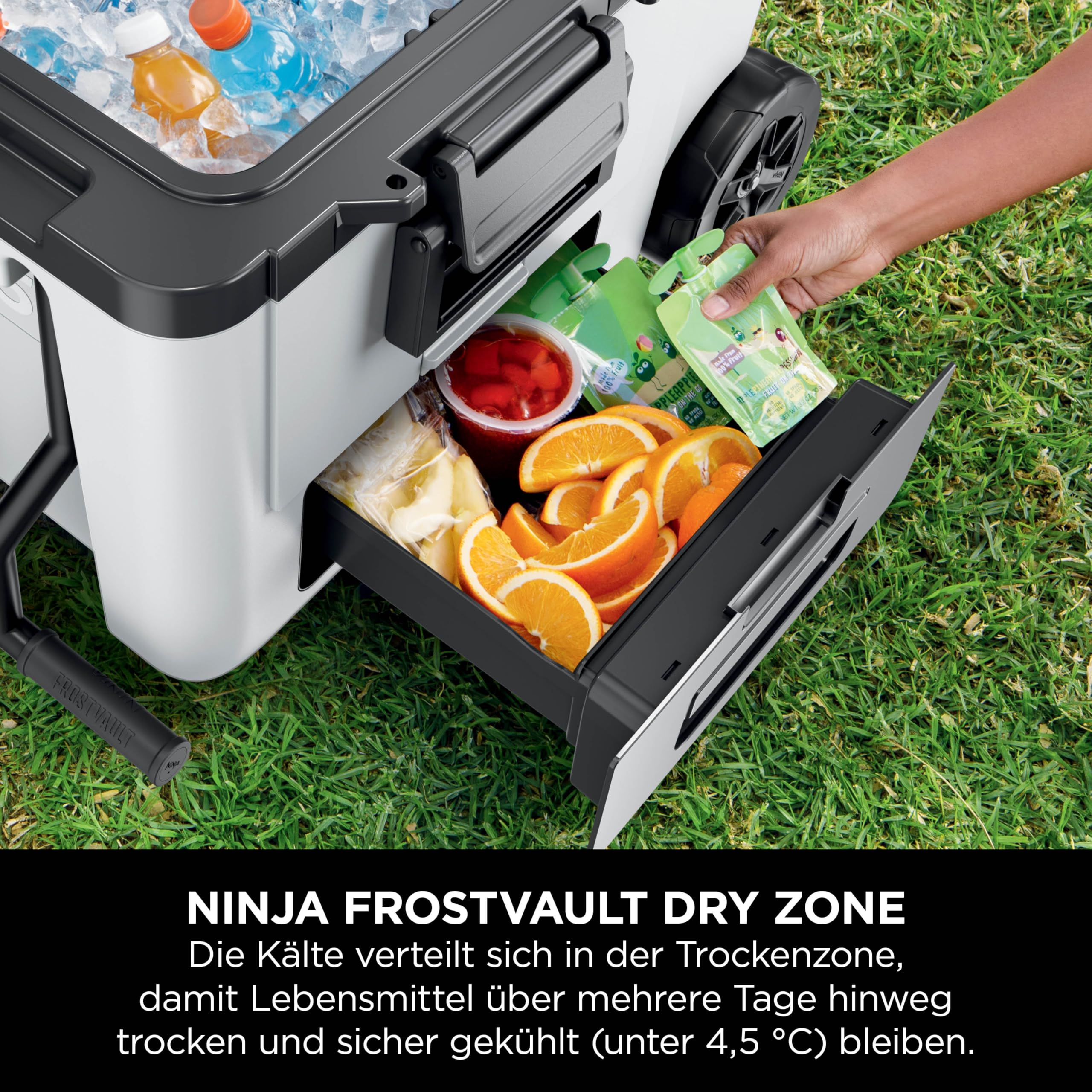 Ninja FrostVault Kühlbox mit Rollen und Isolierung, integrierter Dry Zone Schublade für Lagerung bei Kühlschranktemperatur, hält Eis tagelang, bietet Platz für bis zu 68 Dosen, Wolkenweiß, FB245EUWH 4