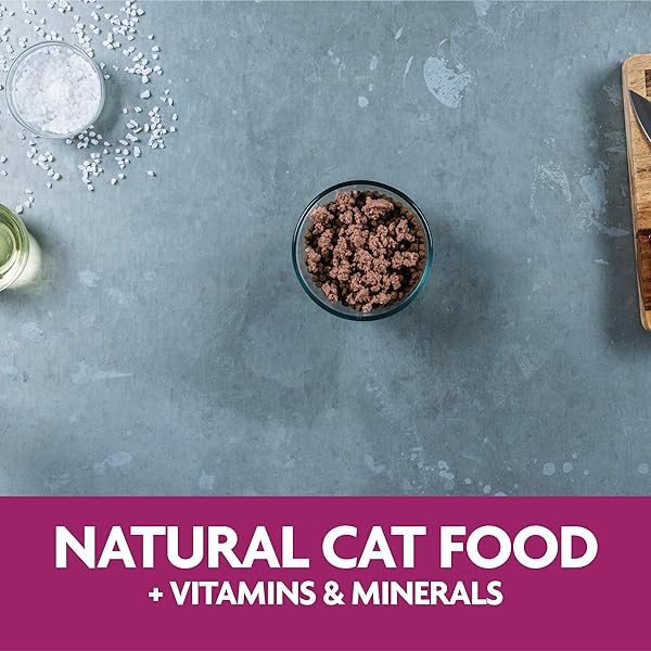 EVOLVE CLASSIC CRAFTED MEALS LIVER RECIPE CAT FOOD (PACK OF 15)
