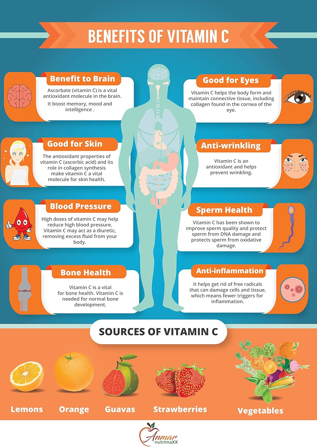 Vitamin C by Anmar NutrimaXX Immune System Support Made with