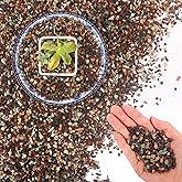 Mulctun 45Lb Horticultural Lava Rock-Lava Rocks for Plants,Succulent Soil Amendment,Decorative Cactus Soil Potting Mix,Volcanic Rock for Aquarium Fairy Gardening Top Dressing Plant Drainage