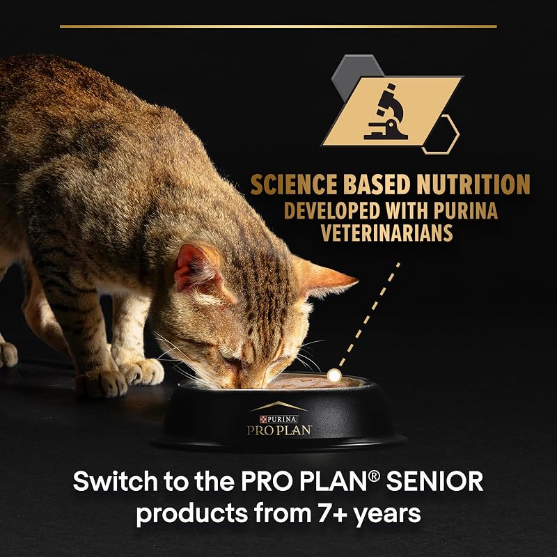 Comida húmeda de Gato Cat Wet NutriSavour Delicado 850 g (Paquete de 4, Total 40 Bolsas)