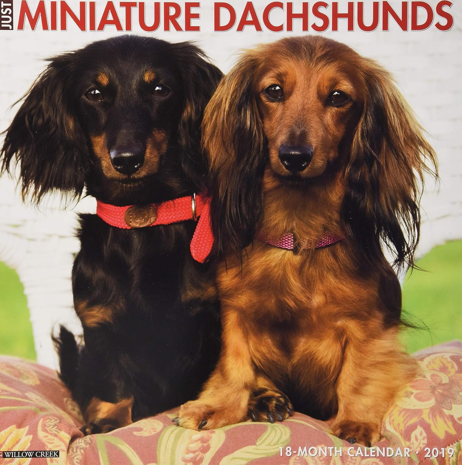 precious pets memorial service