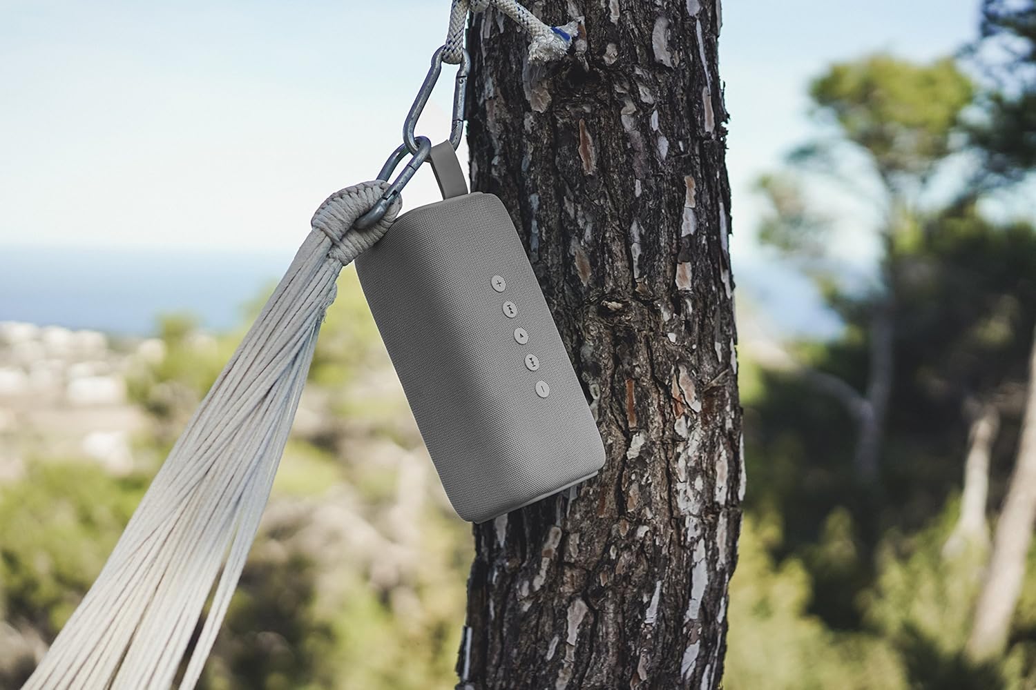 fresh n rebel bold l