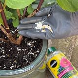 Miracle-Gro Premium Azalea Camellia Rhododendron Continuous Release Plant Food view 3