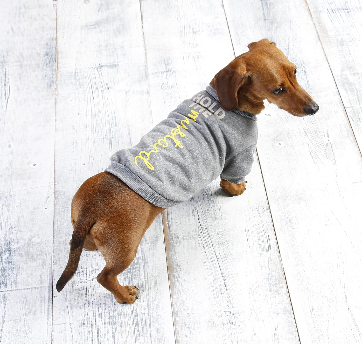 Sausage Dog Puppy Jumper Jumper for Small Dachshunds Clothing for