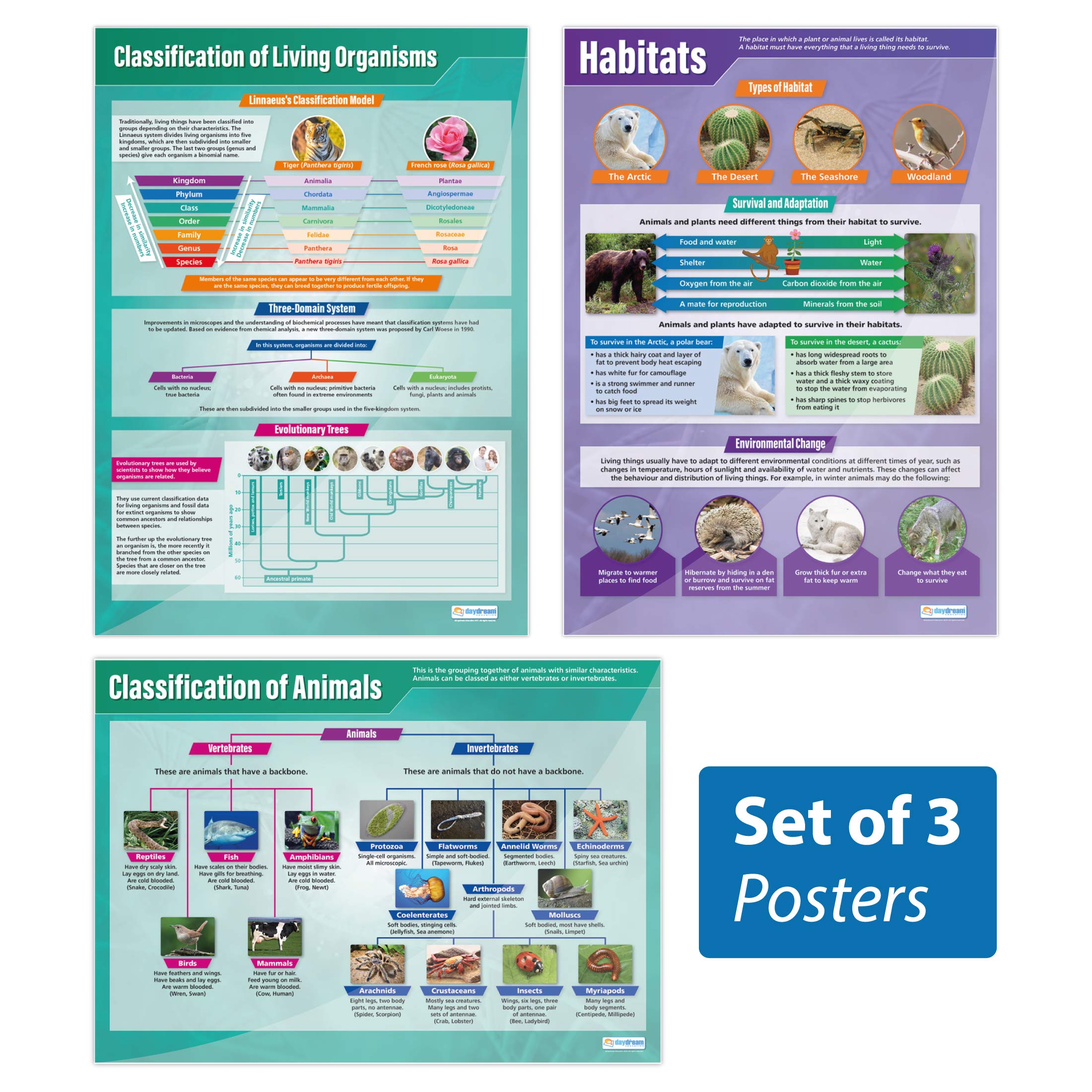 Daydream Education Animals & Habitats Posters - Set of 3 | Science Posters | Laminated Gloss Paper measuring 850mm x 594mm (A1) | Science Charts for the Classroom | Education Charts