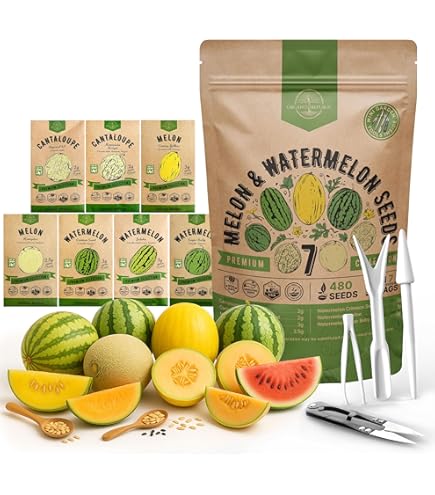 Amazon.com : Minnesota Midget Melon - 25 Seeds - Heirloom Melon