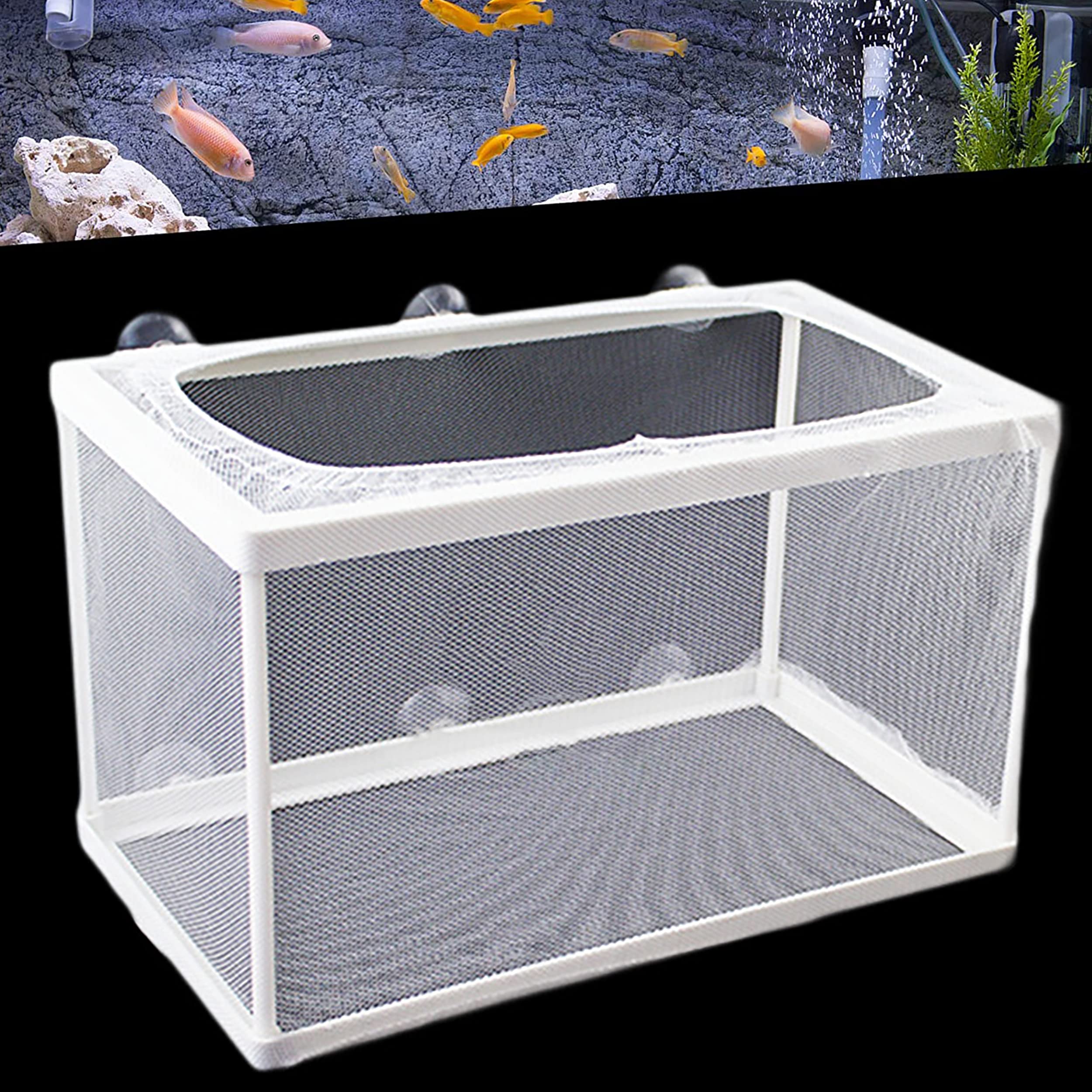 1Pcs Fish Breeding Box Aquarium with Suction Cups, Small Fry Hatchery Net Fish Nursery Isolation Box, Incubator Boxes for Baby Fishes Guppy Shrimp(26 * 15 * 15cm) (Large)