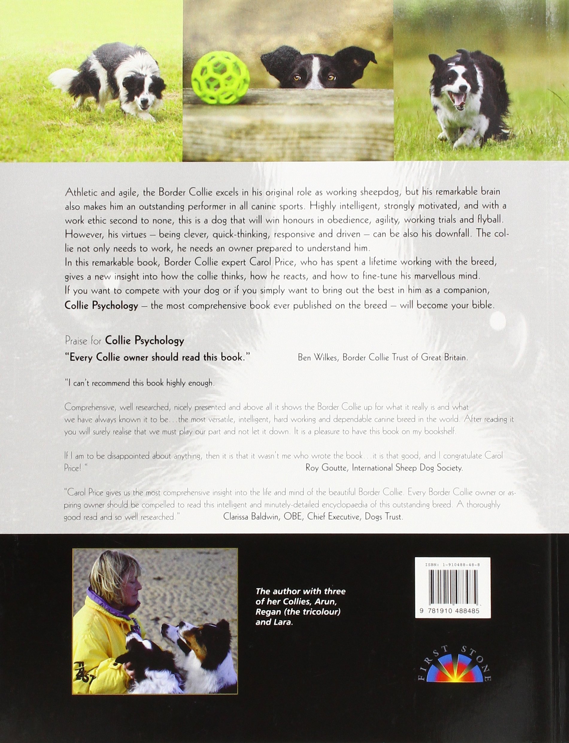 carol price border collie