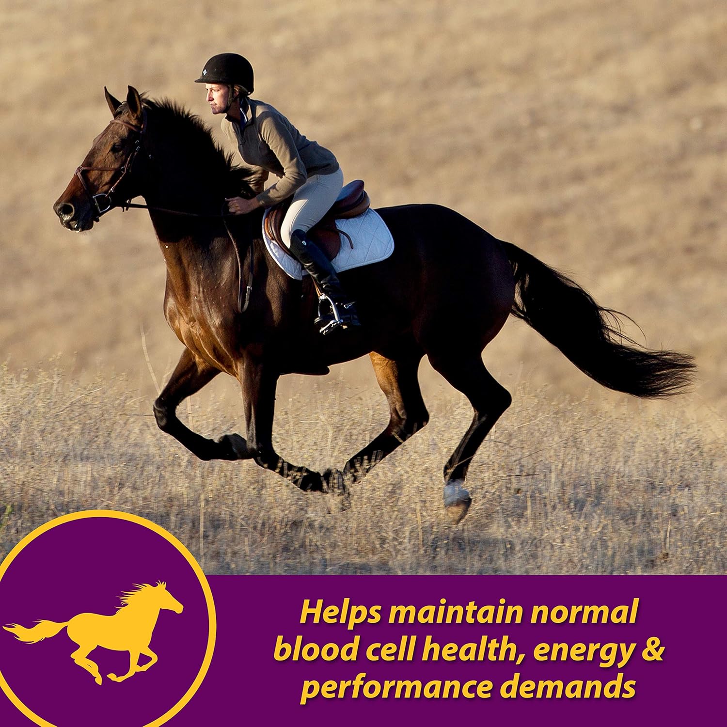 FARNAM 74109 Red Cell Pet Supplement, 32-Ounce : Horse Nutritional Supplements And Remedies : Pet Supplies