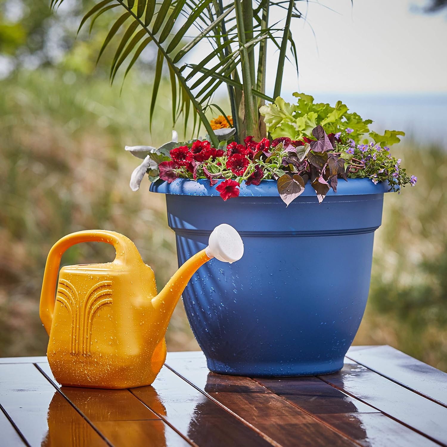Bloem Classic JW Watering Can, 2 Gallon, Deep Sea (JW82-31), Deep Sea Blue : Garden & Outdoor