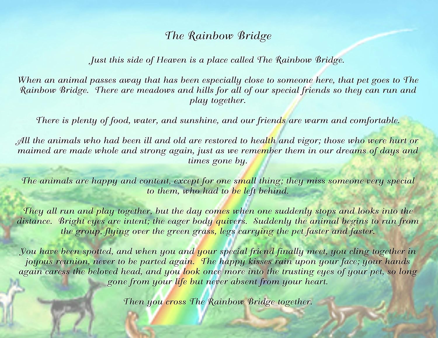 Pet Supplies Memorials Pet Art Print With Rainbow Bridge Poem Pet Keepsake 8x10 Print Unframed Art Print Smartshop Vn Pet Supplies Memorials Pet Art Print With Rainbow Bridge Poem Pet Keepsake 8x10 Print Unframed Art Print Smartshop Vn