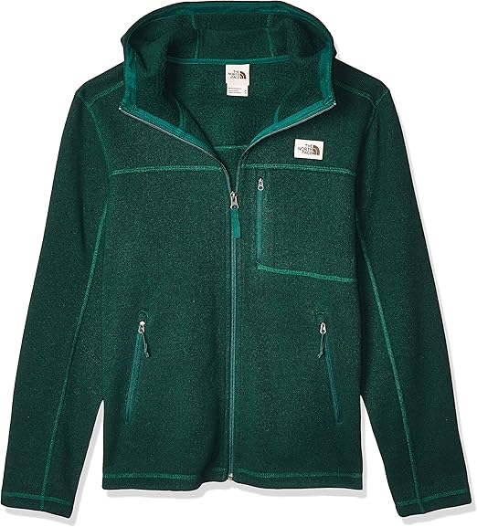 north face gordon lyons hoodie