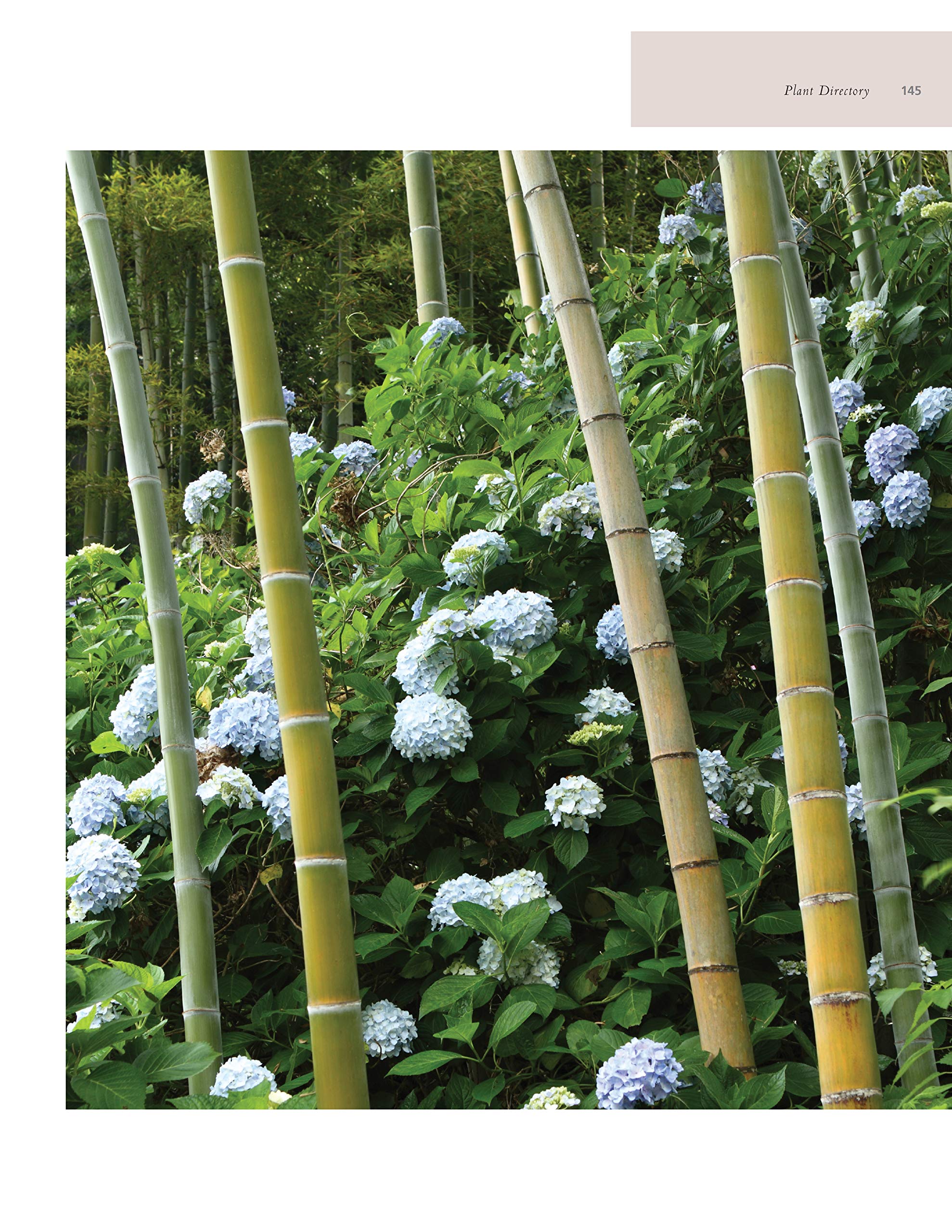 Authentic Japanese Gardens: Creating Japanese Design and Detail in the Western Garden (IMM Lifestyle Books) Traditional Elements, Layout, a Plant Directory of Trees, Shrubs, Bamboo, Flowers, and More