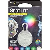 spotlit dog light