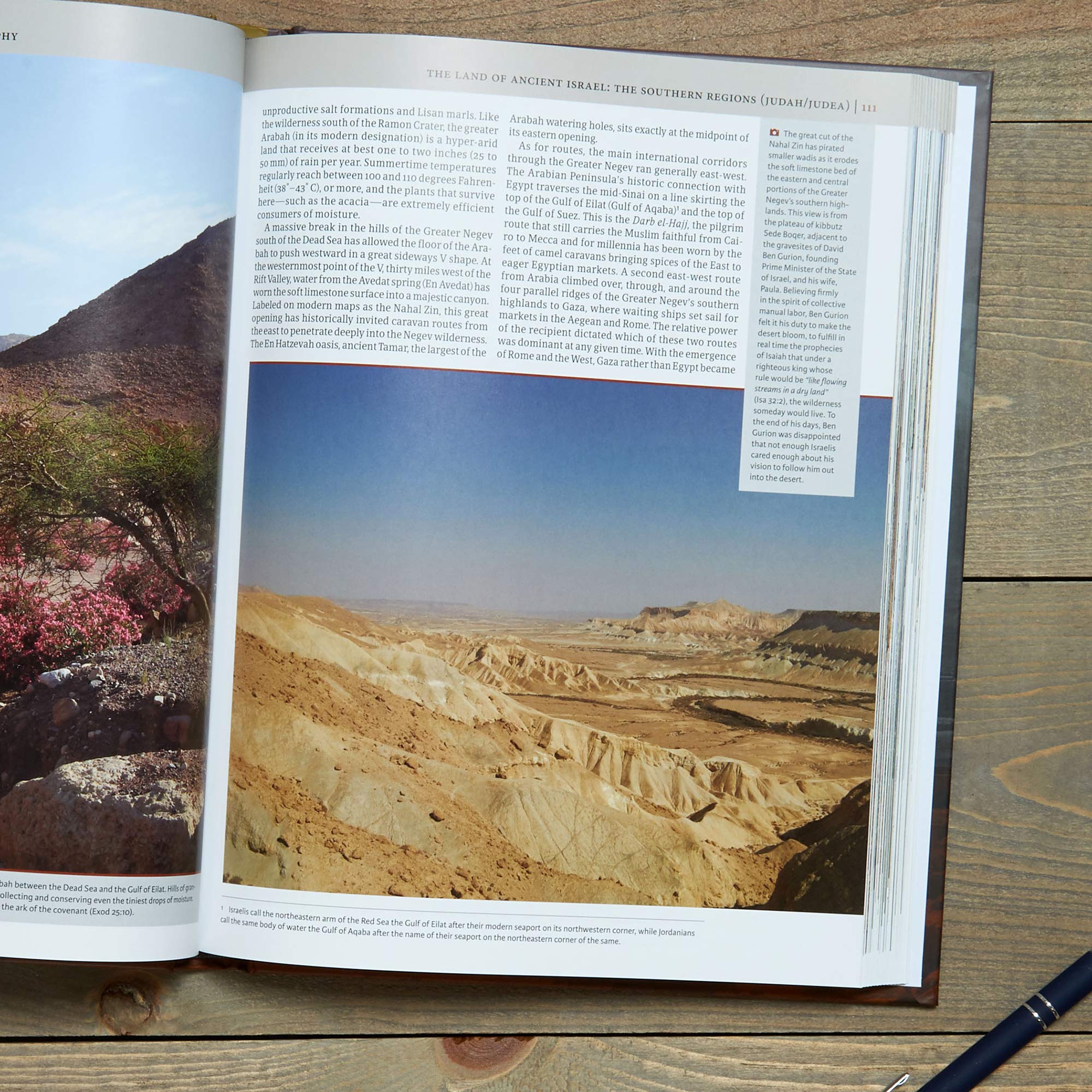 Holman Illustrated Guide To Biblical Geography: Reading the Land