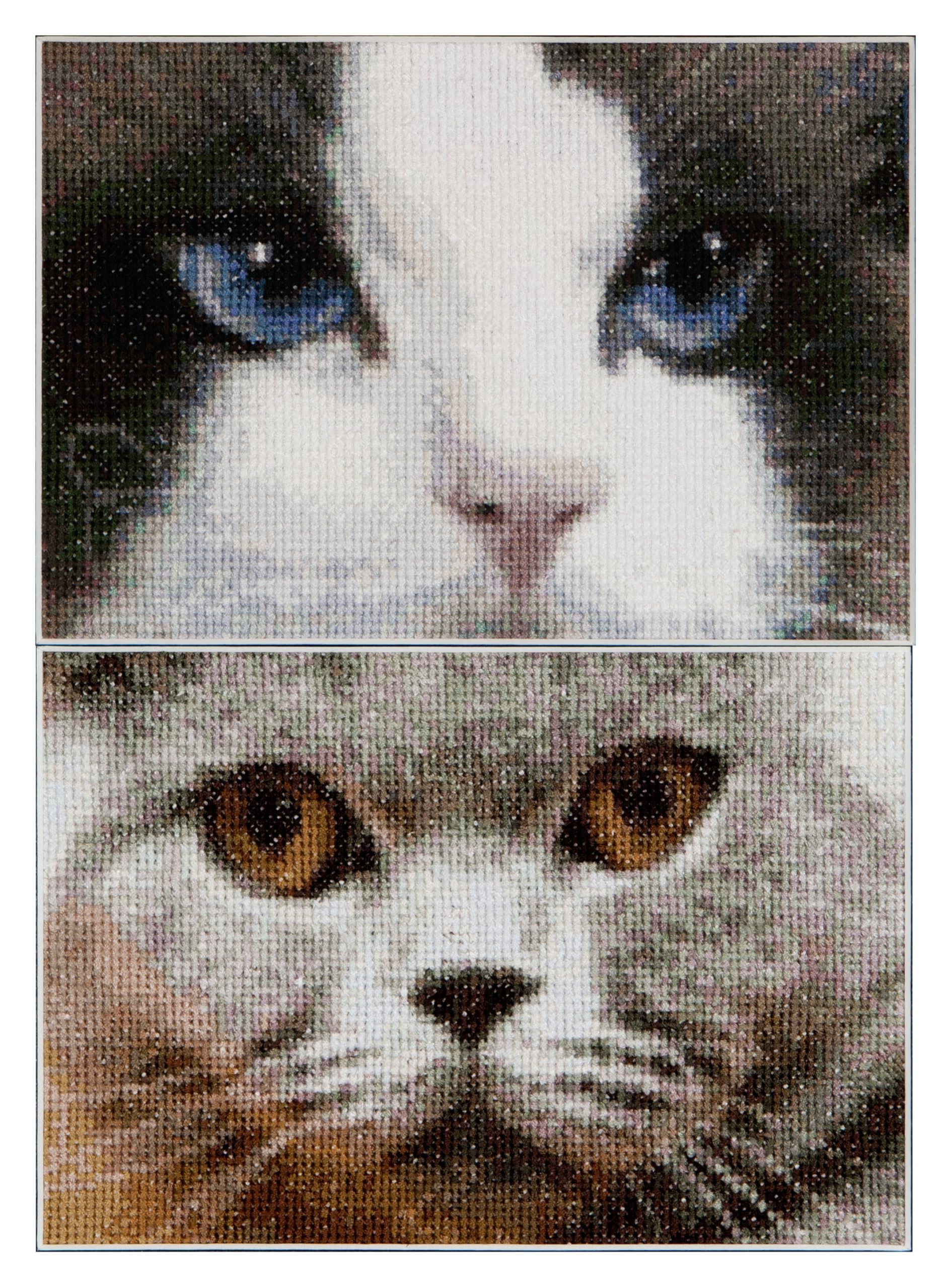 Thea Gouverneur Cats Smokey + Blue On Aida Counted Cross Stitch Kit, 16 Count, Set of 2