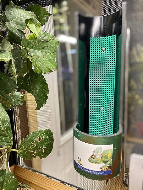 chameleon feeder cup