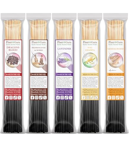 Amazon.com: Musky Incense Sticks Variety Set Bulk 500 Pack Sampler