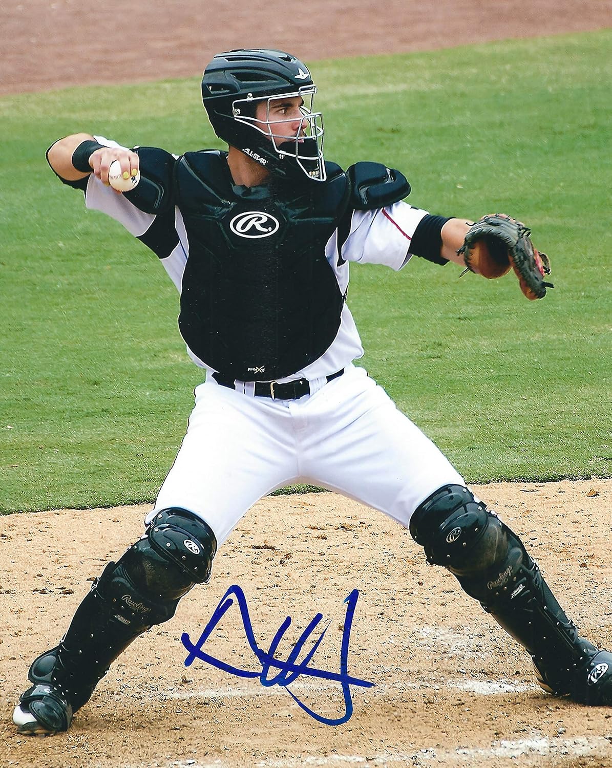 austin hedges jersey