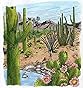 The Sonoran Desert By Day And Night Dover Nature Coloring Book Dot Barlowe 0800759423699