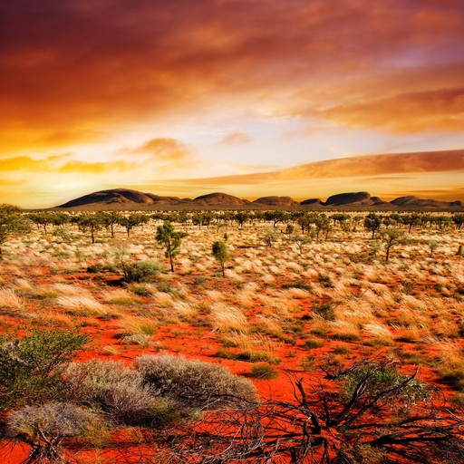 Desert Live Wallpaper Appstore for Android