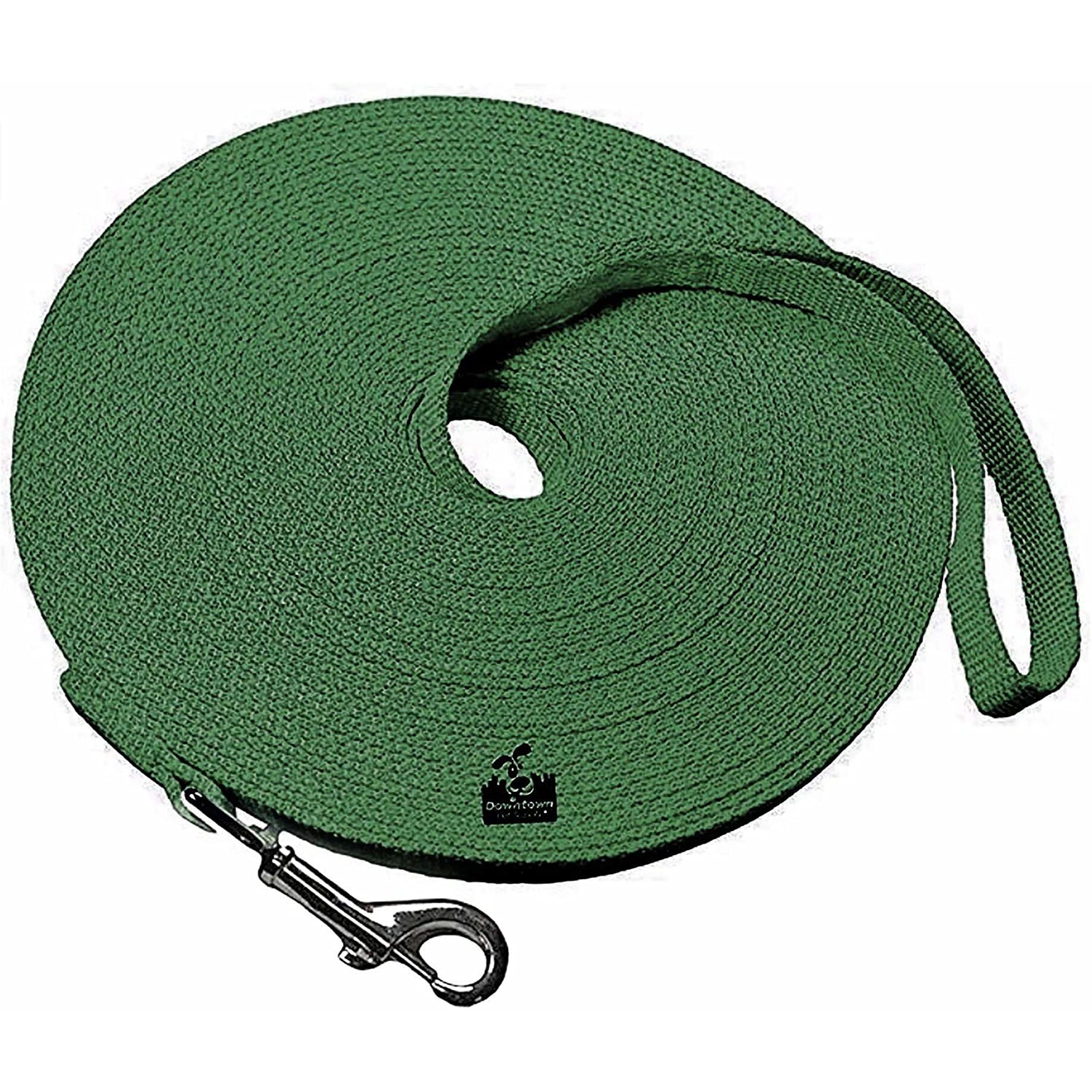 Downtown Pet Supply - Long Dog Leash - Dog Training Leash - Recall & Obedience Dog Training Tools - Nylon - 150 ft - Hunter Green Dog Leash — image 1