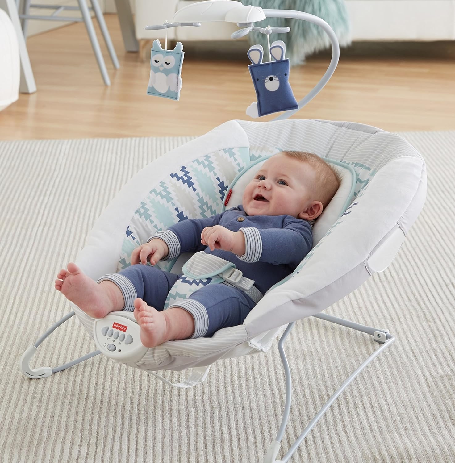 fisher price fawn meadows bouncer