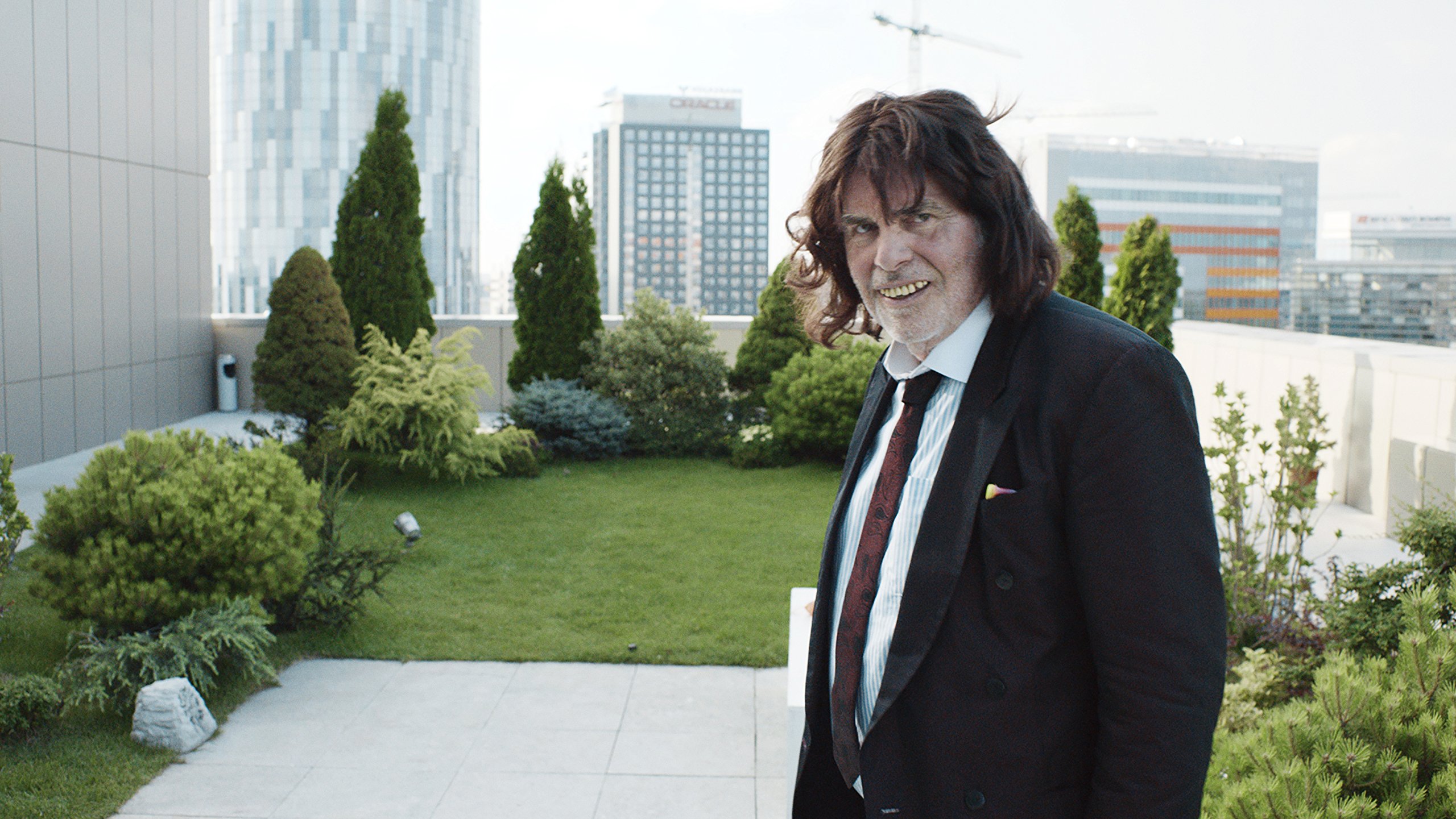 Toni Erdmann [Blu-ray] 4