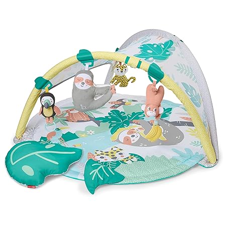 Skip Hop Baby Play Gym with Soother 