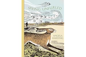 Spring Unfurled: part of a beautiful seasonal quartet from beloved illustrator and print-maker Angela Harding
