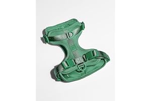 Wild One Harness 2.0 - Large - Spruce