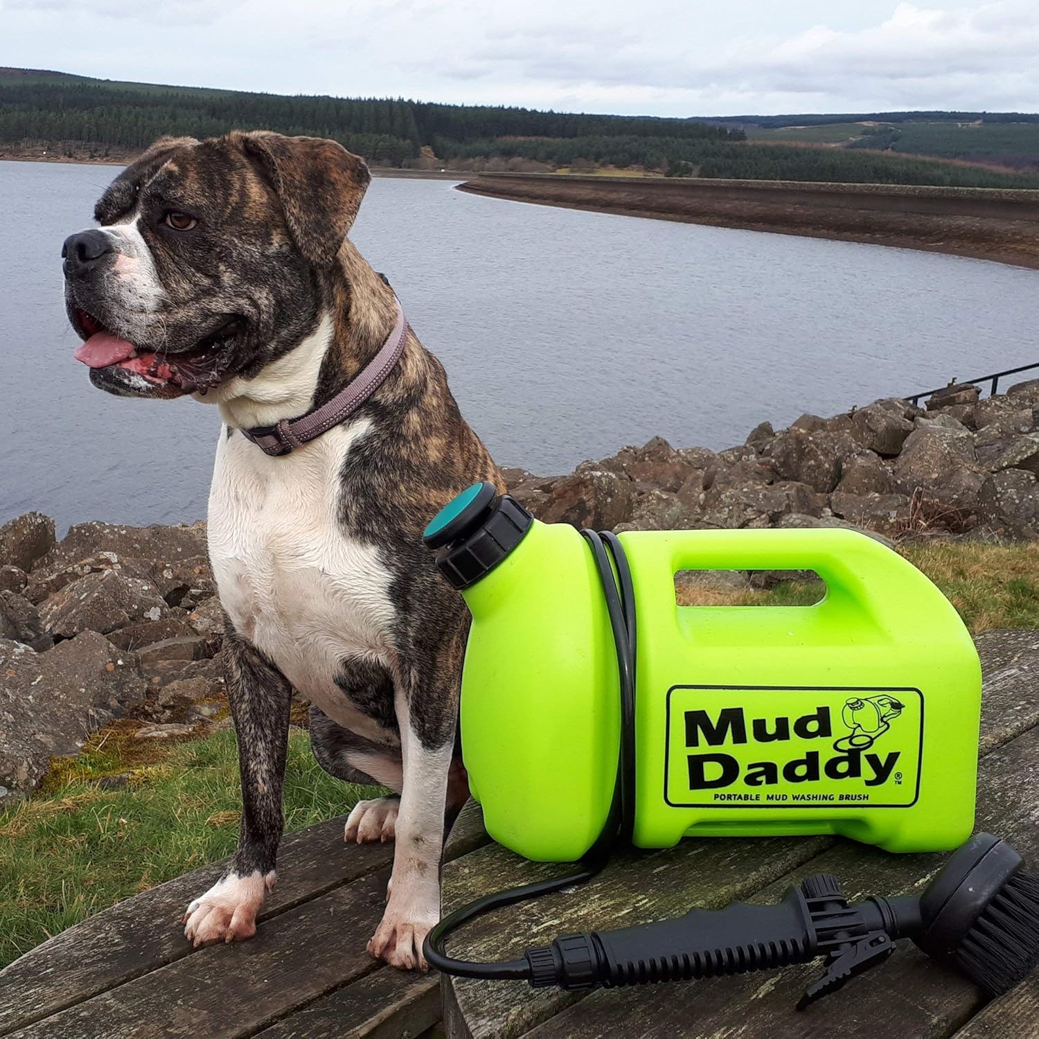 mud daddy portable dog washer