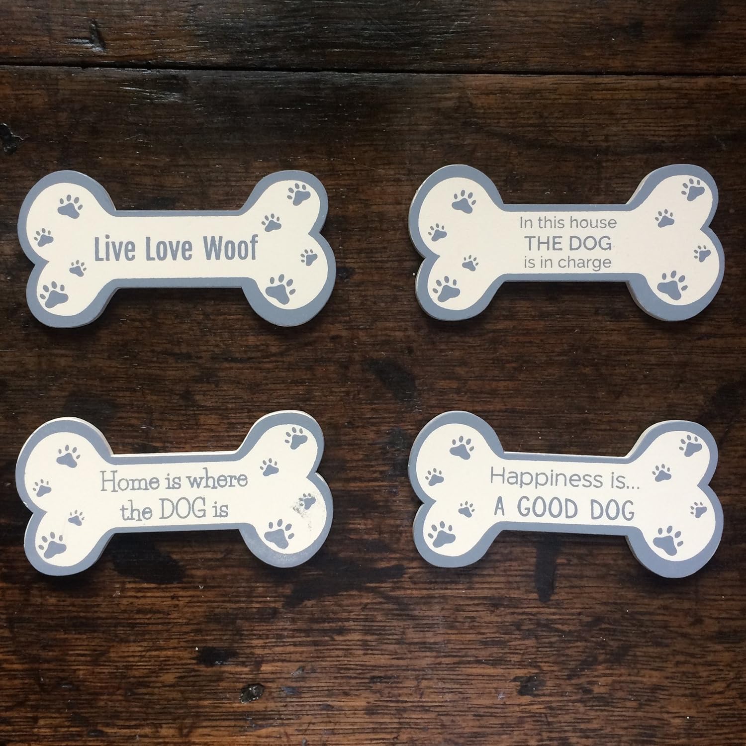 Gracioso perro imanes de nevera - Set de cuatro: Amazon.es: Hogar