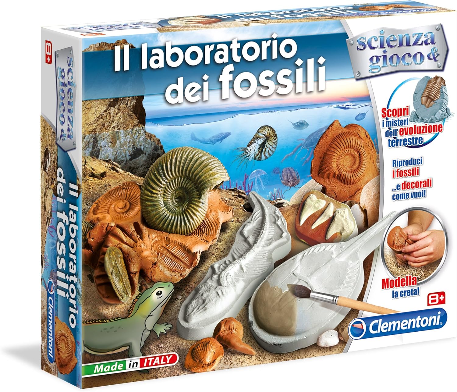 Laboratorio Coi Fossili Per I Piu Piccoli