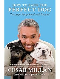 How to Raise the Perfect Dog: Through Puppyhood and Beyond