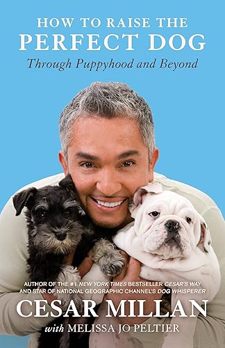 Download How to Raise the Perfect Dog: Through Puppyhood and Beyond PDF