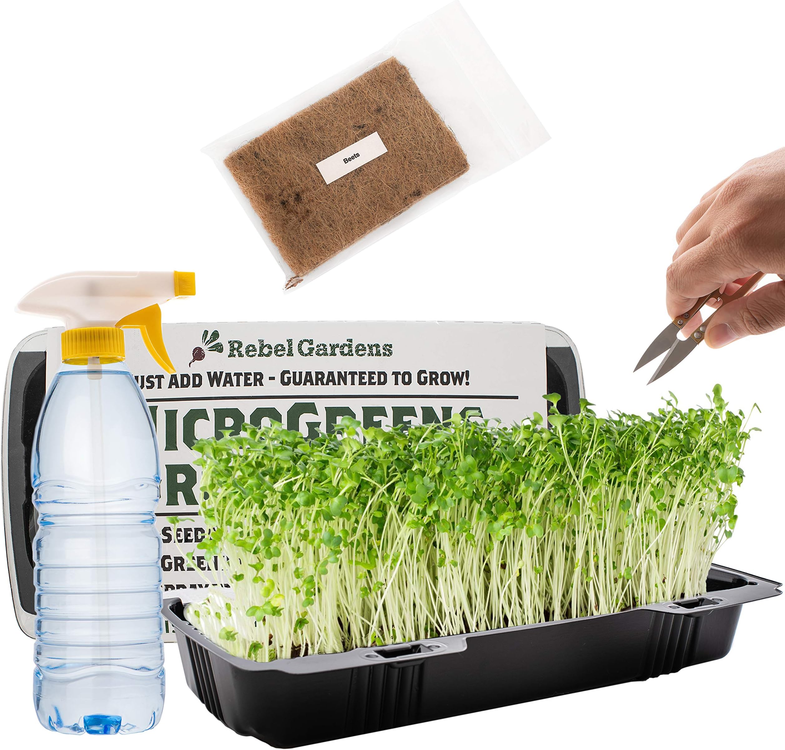 Microgreens Growing Kit - Organic Non GMO Seeds - Indoor Sprouting Greenhouse Tray - Radish Beets Kale Broccoli